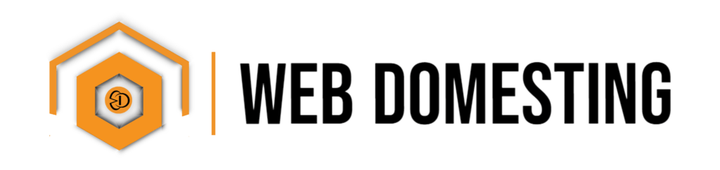 WEB DOMESTING logo